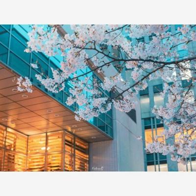 真人斗牛牛最新版app下载截图